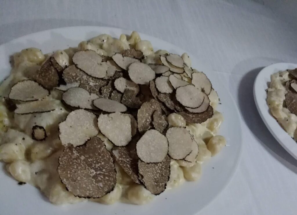 Gnocchi di patate crema di parmigiano e tartufo estivo